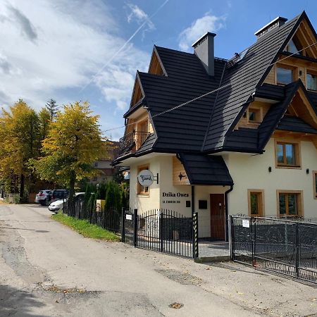 Dzika Owca Apartamento Zakopane Exterior foto