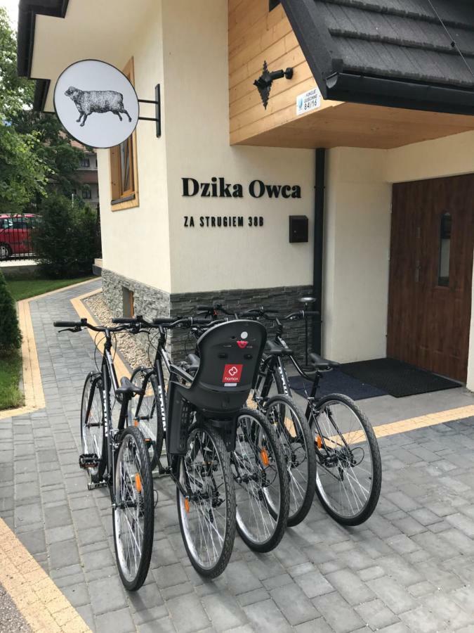 Dzika Owca Apartamento Zakopane Exterior foto
